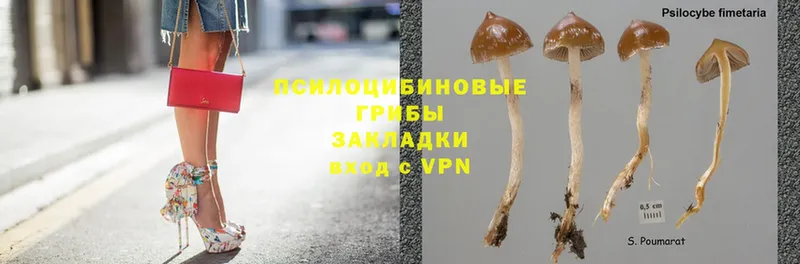 гидра зеркало  даркнет сайт  Верхняя Салда  Галлюциногенные грибы MAGIC MUSHROOMS 